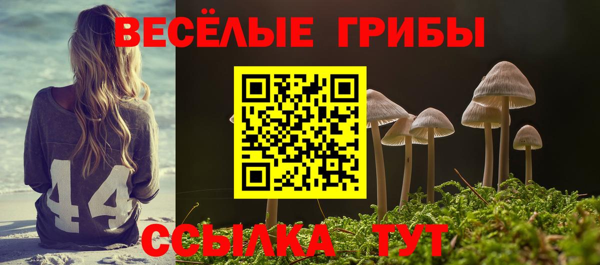 Псилоцибиновые грибы мухоморы  Вход с VPN  Усолье-Сибирское  Псилоцибиновые грибы Cubensis 